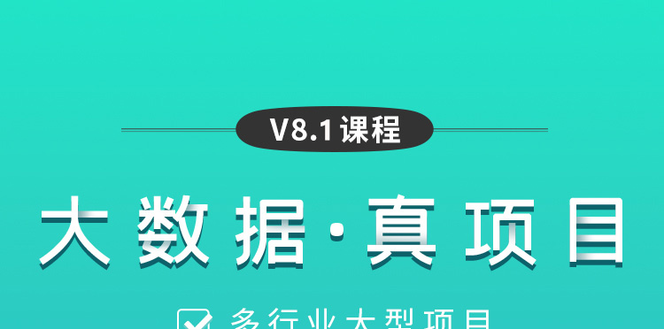 大数据项目课程